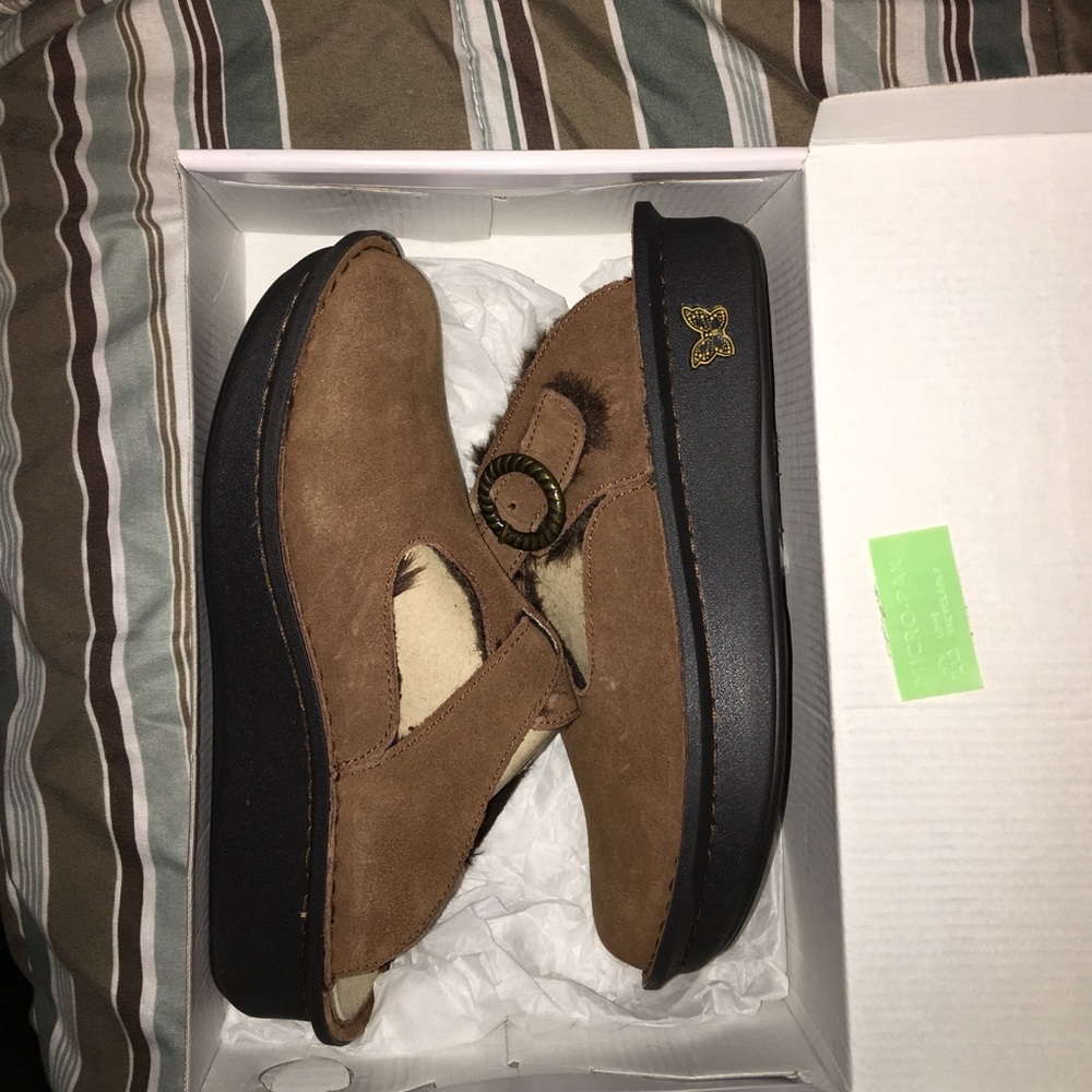 Comfy alegria's
